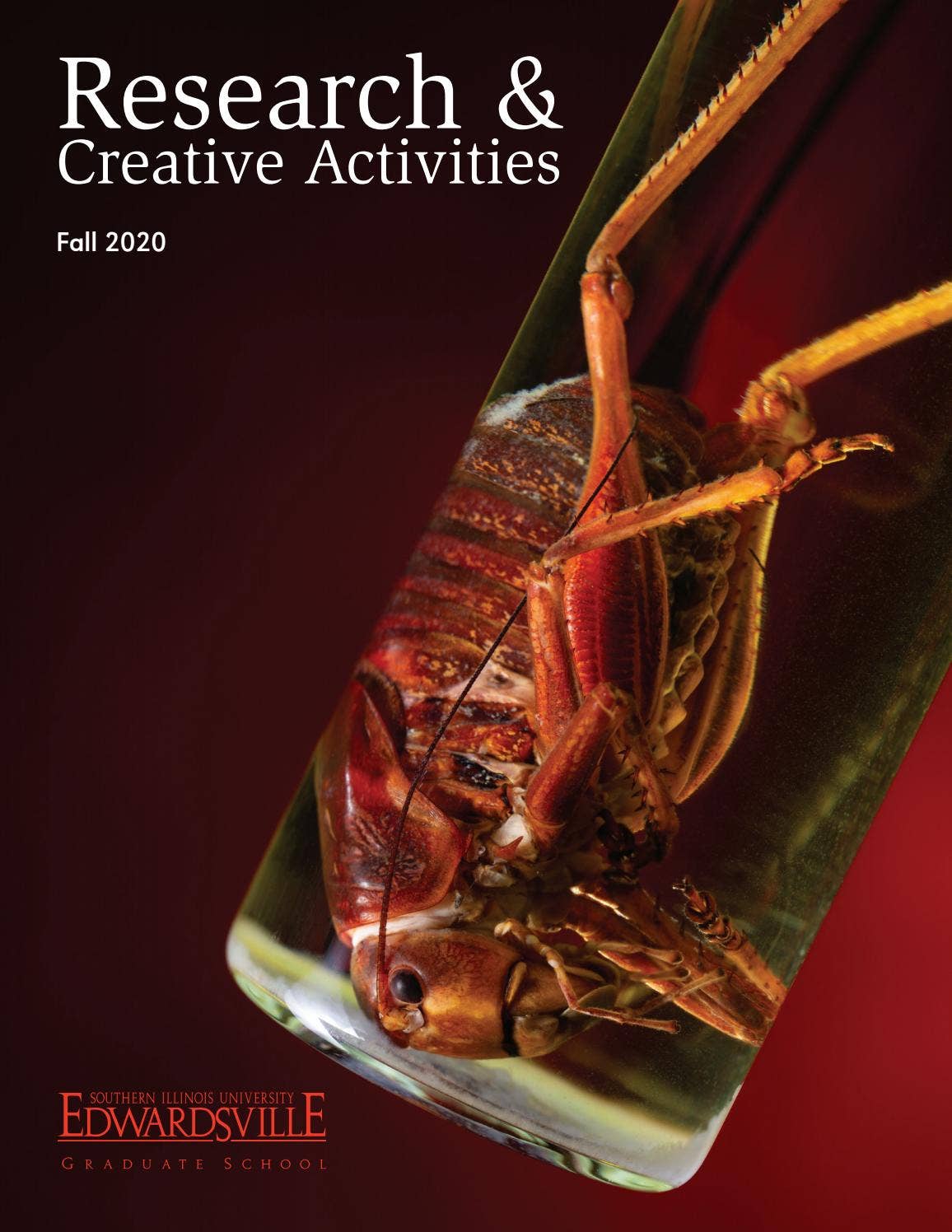 Fall 2020 Research and Creative Activities Graduate School by SIUE