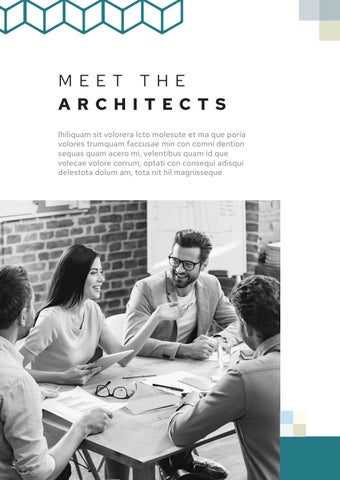Architecture Service Company 型材灯 第 8 页