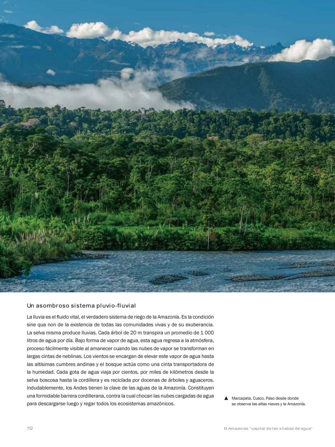 La Amazonia by fondoeditorialbcp - Issuu
