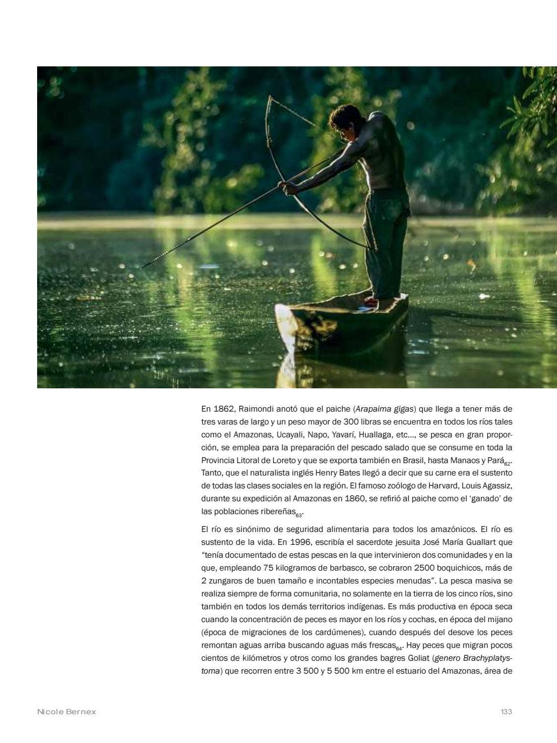 La Amazonia by fondoeditorialbcp - Issuu