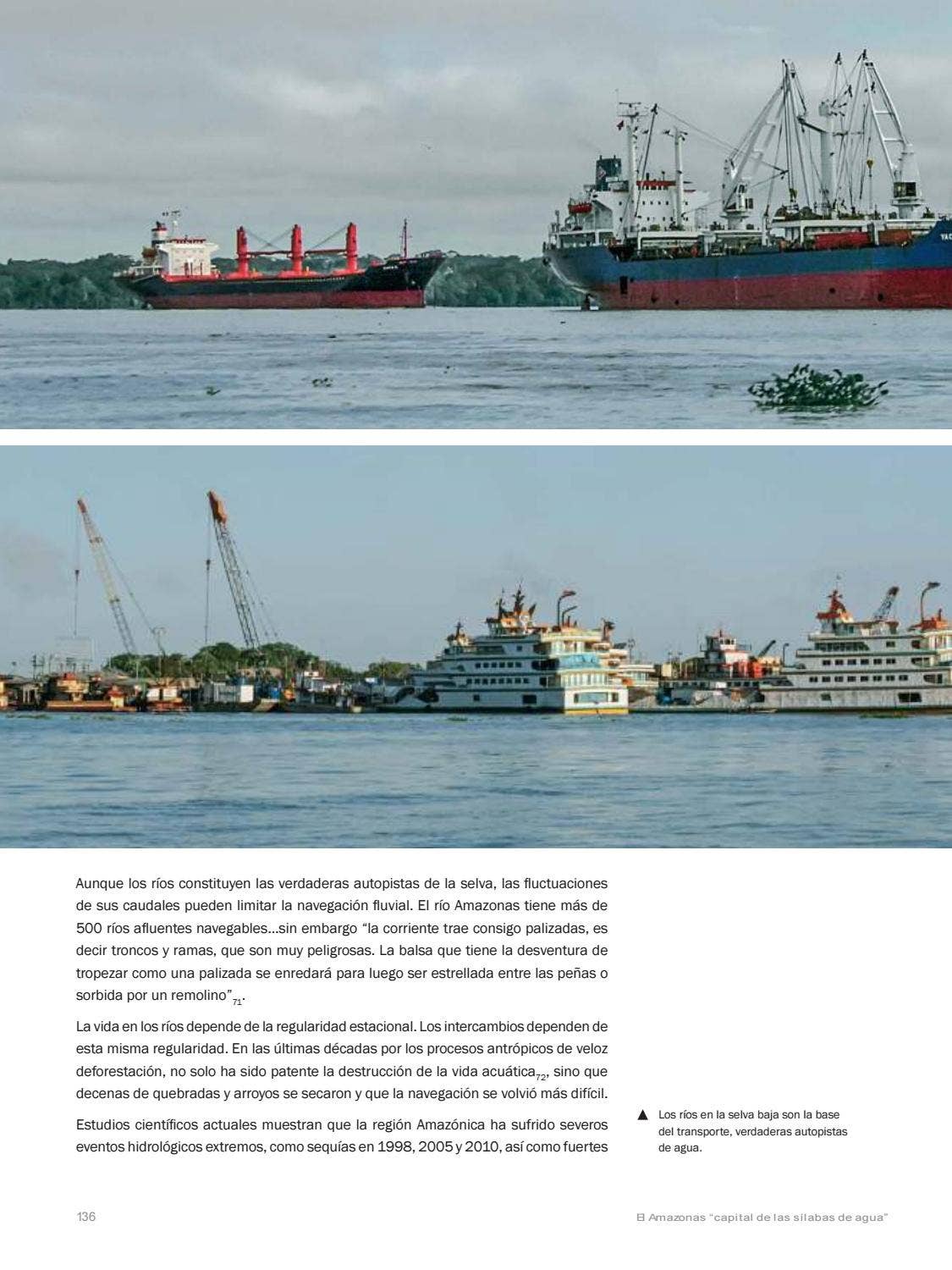 La Amazonia by fondoeditorialbcp - Issuu