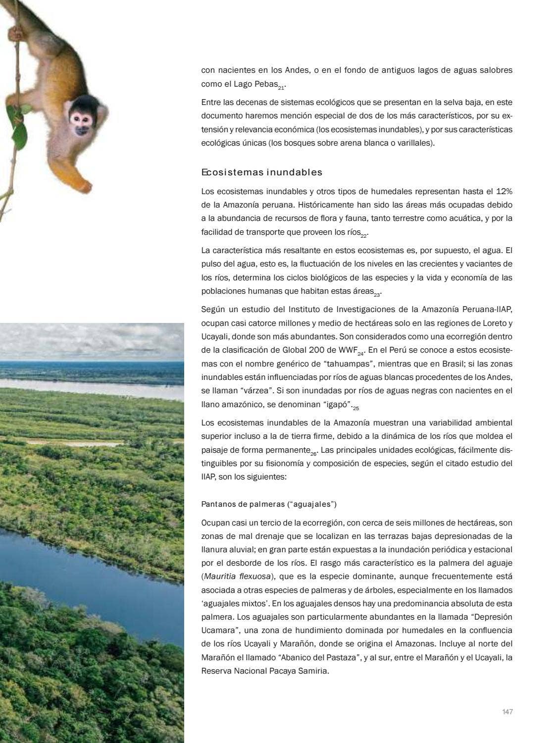 La Amazonia by fondoeditorialbcp - Issuu