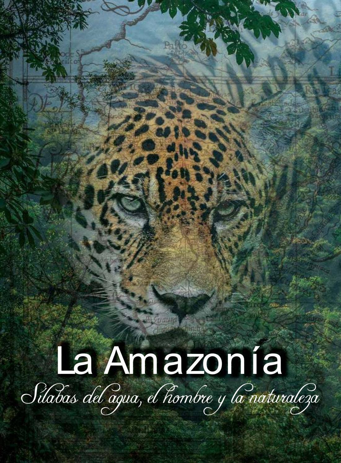 La Amazonia by fondoeditorialbcp - Issuu