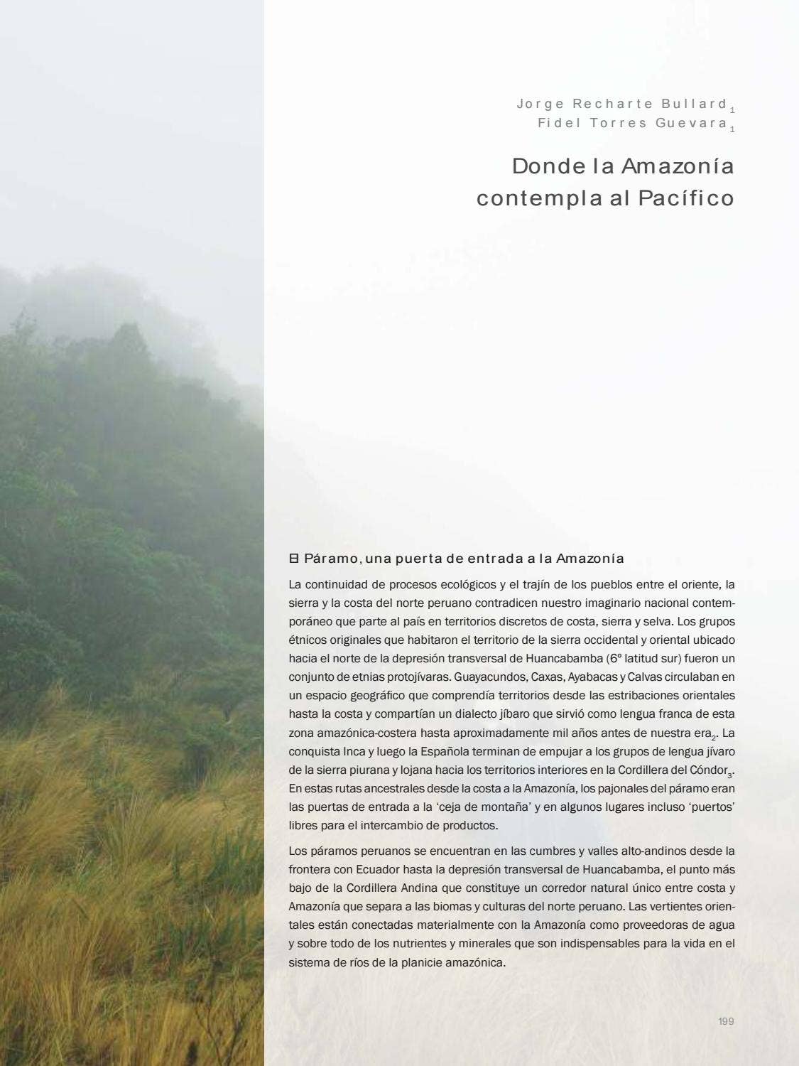 La Amazonia by fondoeditorialbcp - Issuu