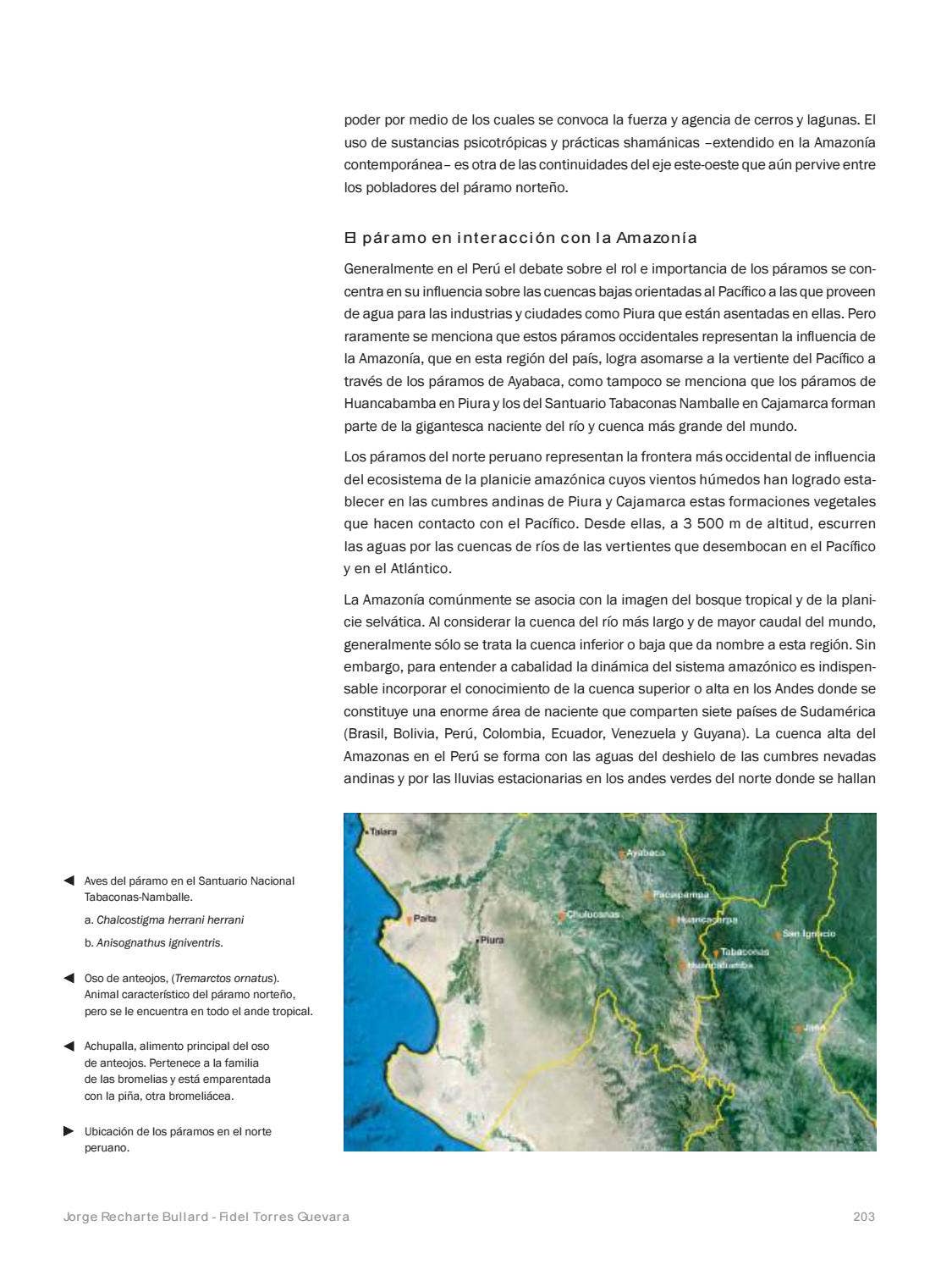 La Amazonia by fondoeditorialbcp - Issuu