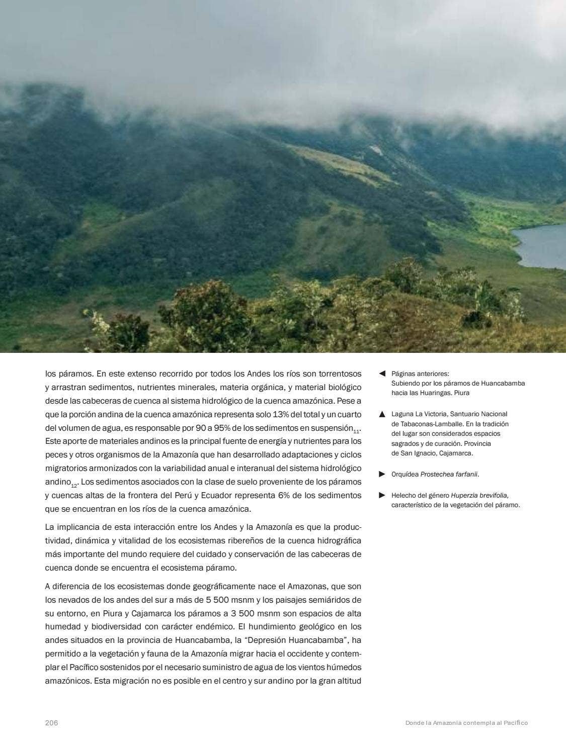La Amazonia by fondoeditorialbcp - Issuu