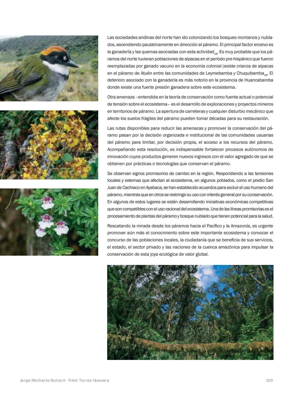 La Amazonia by fondoeditorialbcp - Issuu