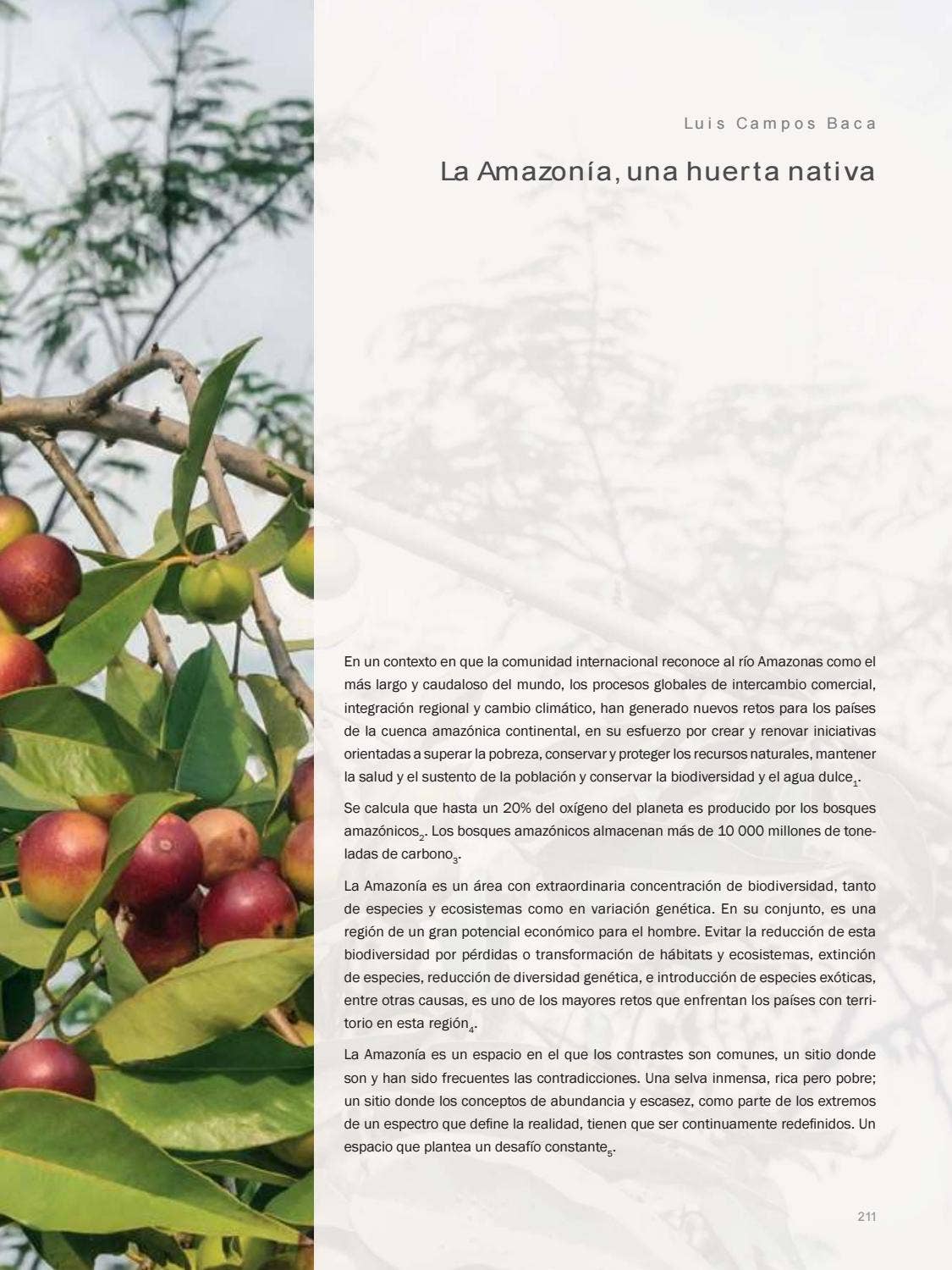 La Amazonia by fondoeditorialbcp - Issuu