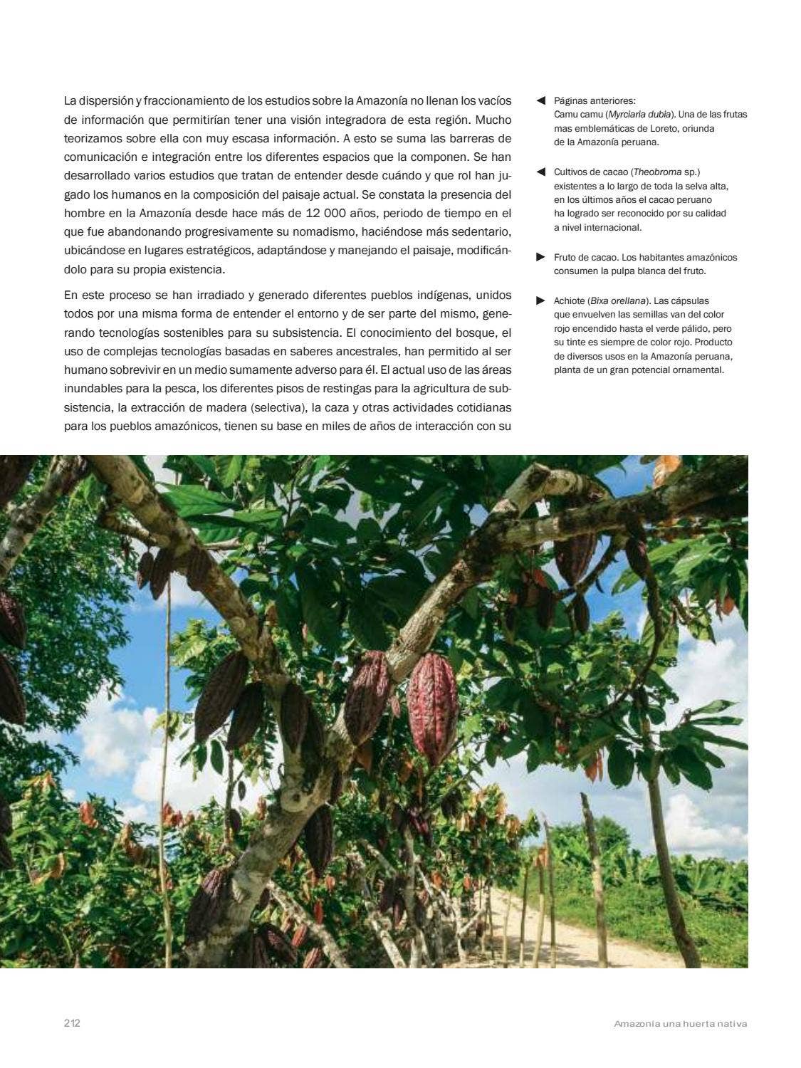 La Amazonia by fondoeditorialbcp - Issuu