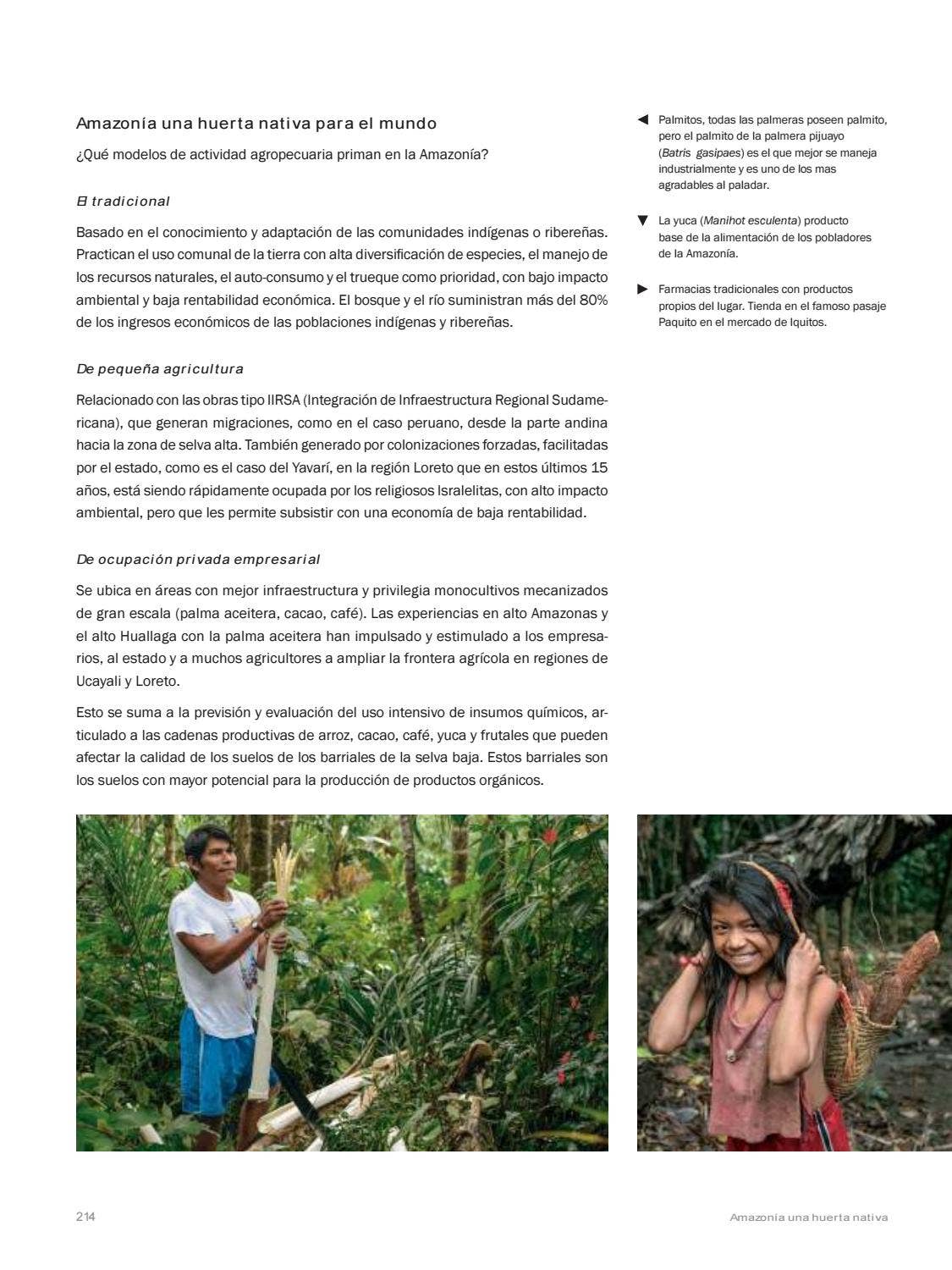 La Amazonia by fondoeditorialbcp - Issuu