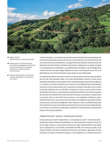 La Amazonia by fondoeditorialbcp - Issuu