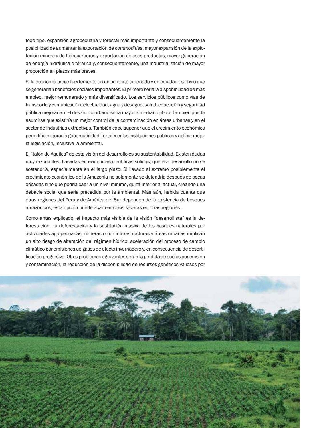 La Amazonia by fondoeditorialbcp - Issuu