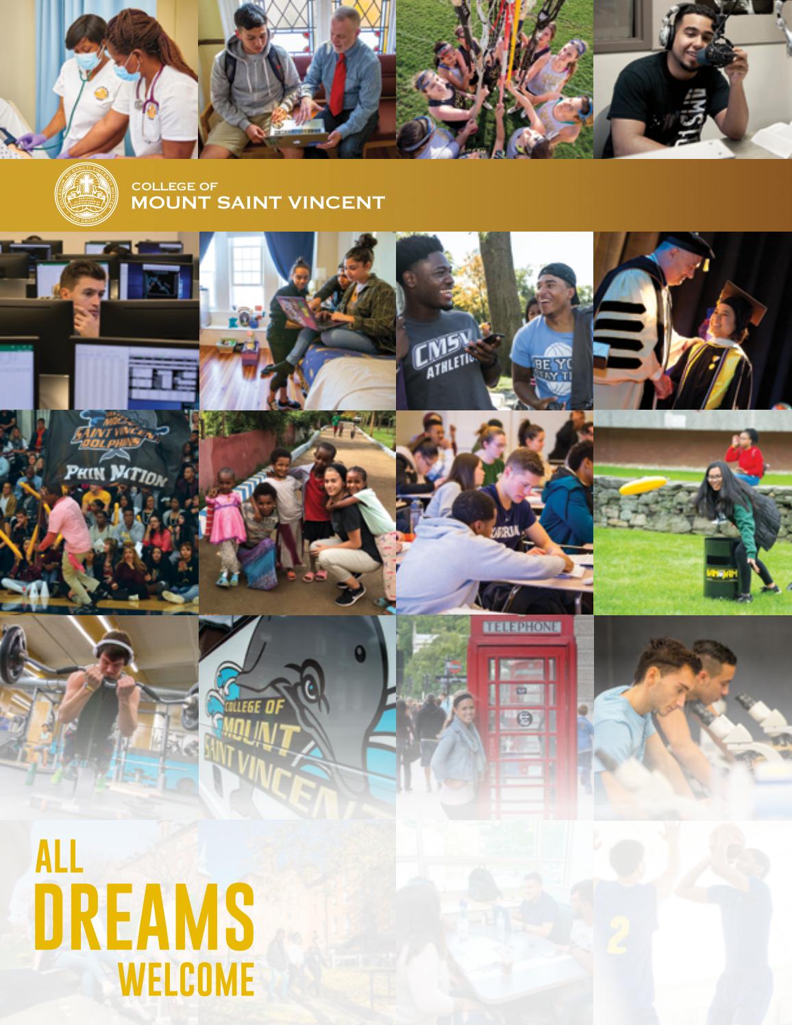 Viewbook 2020 by College of Mount Saint Vincent Issuu