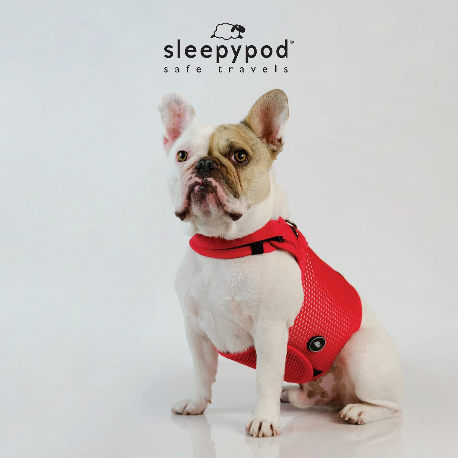 Sleepypod 2020 by Sleepypod Issuu