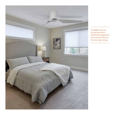 Lightingplus Fan 灯饰目录 2021 第 18 页