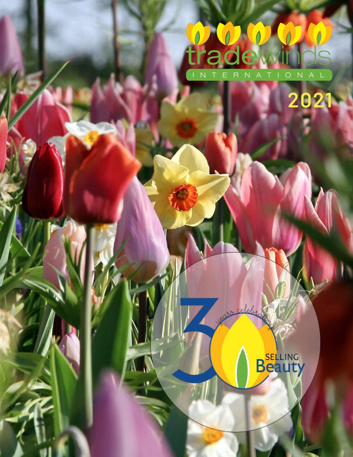 2021 Tradewinds International Catalogue by Sarah At Tradewinds Issuu