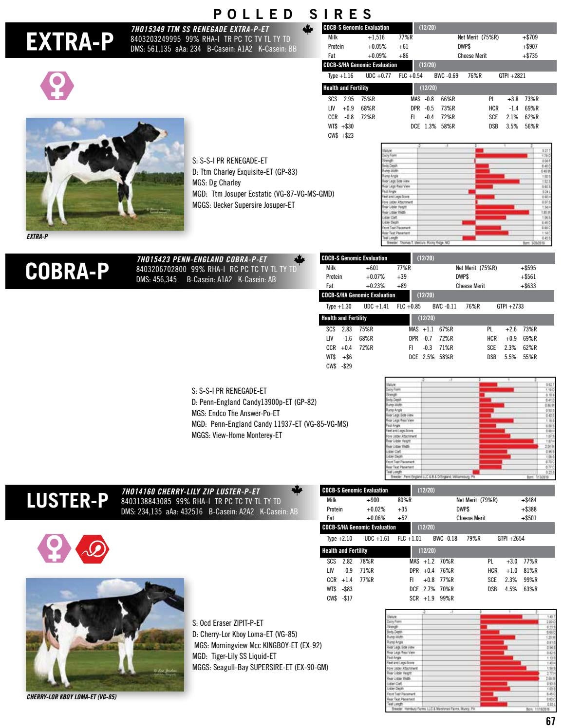 December Holstein Directory By Select Sires Issuu