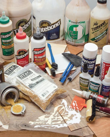 Veneering Essentials ( 预览 ) 第 20 页