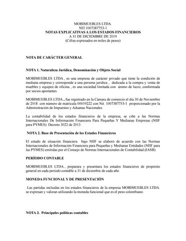 Dossier Formativo Integrador 德文 Estados Financieros 第 11 页