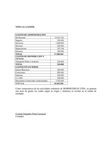 Dossier Formativo Integrador 德文 Estados Financieros 第 17 页