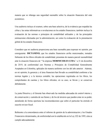 Dossier Formativo Integrador 德文 Estados Financieros 第 19 页
