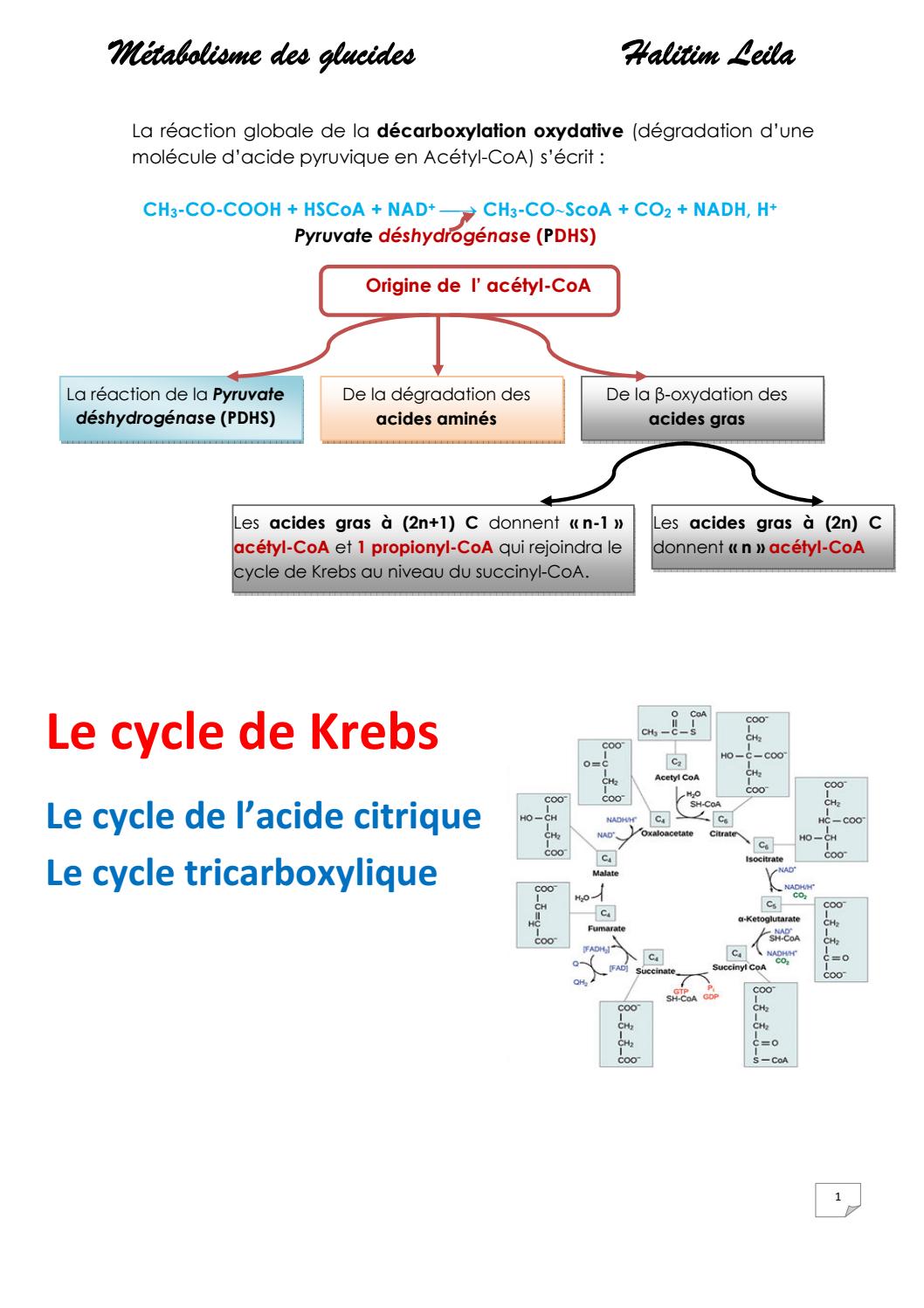Le Pyruvate Participe Au Cycle De Krebs Le cycle de Krebs by Halitim Leila - Issuu