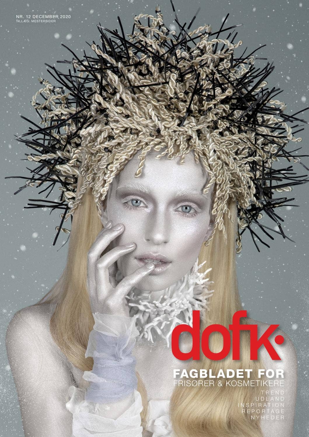 dofk december 2020 by Reprohuset - Issuu