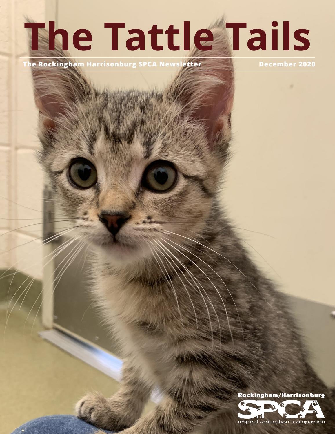 The Tattle Tails- December 2020 by rhspca - Issuu