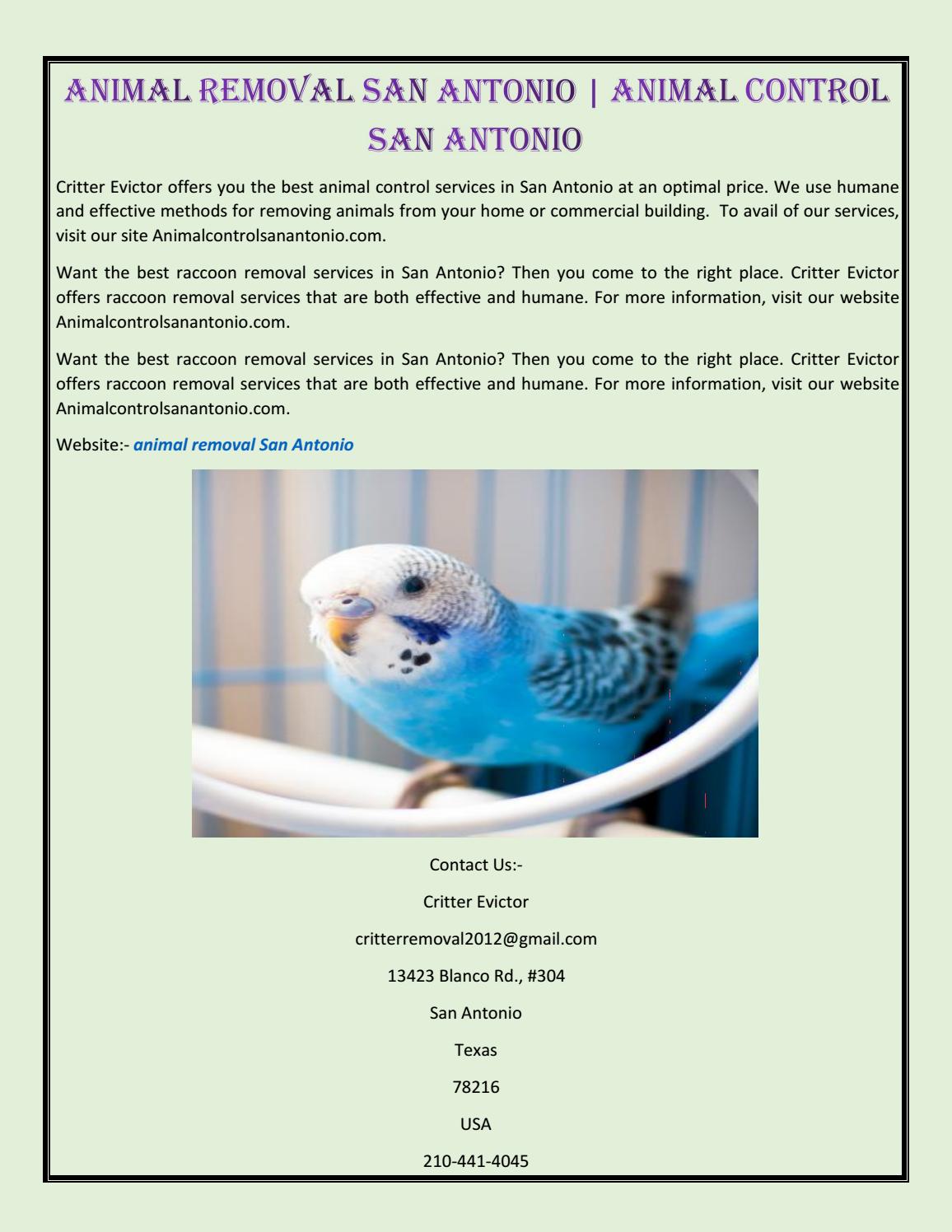 Animal Removal San Antonio Animal Control San Antonio by Pitter leuis