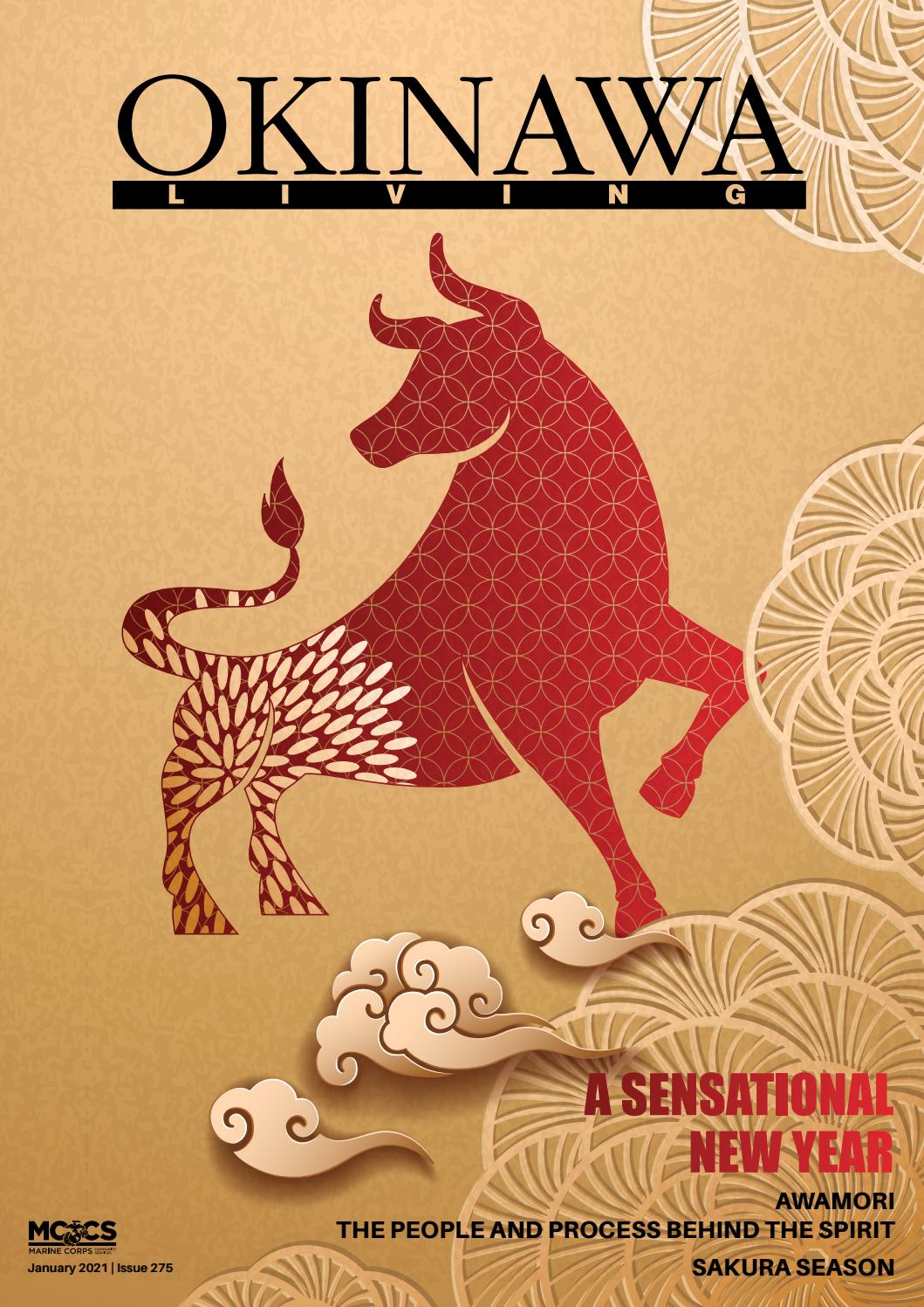 Okinawa Living Magazine January 21 By Mccs Okinawa Issuu