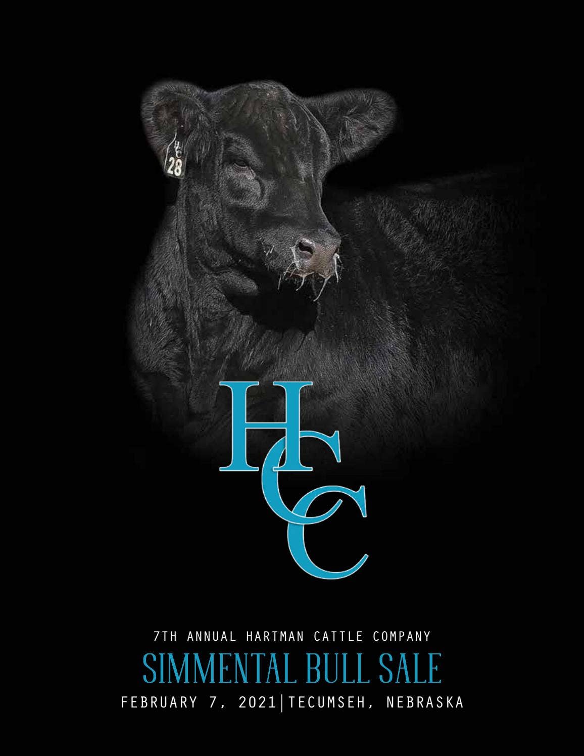 7th Annual Hartman Cattle Company Simmental Bull Sale by Tracy McMurphy