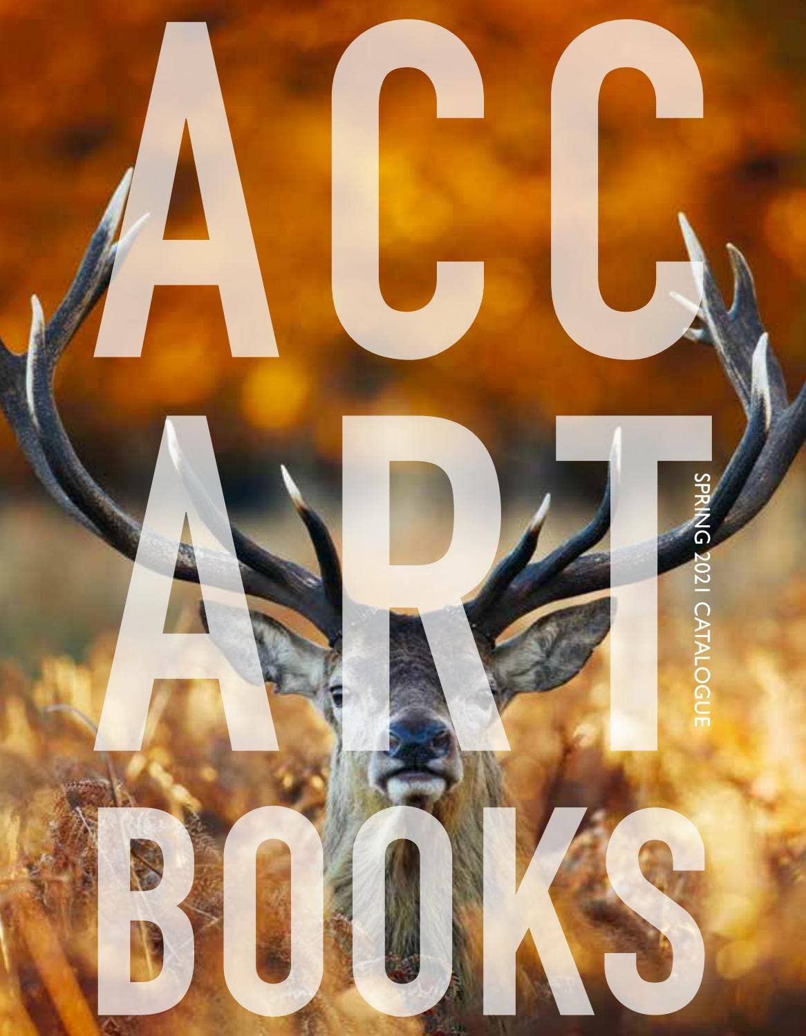 ACC Catalogue Spring 2021 by ACC Art Books - Issuu