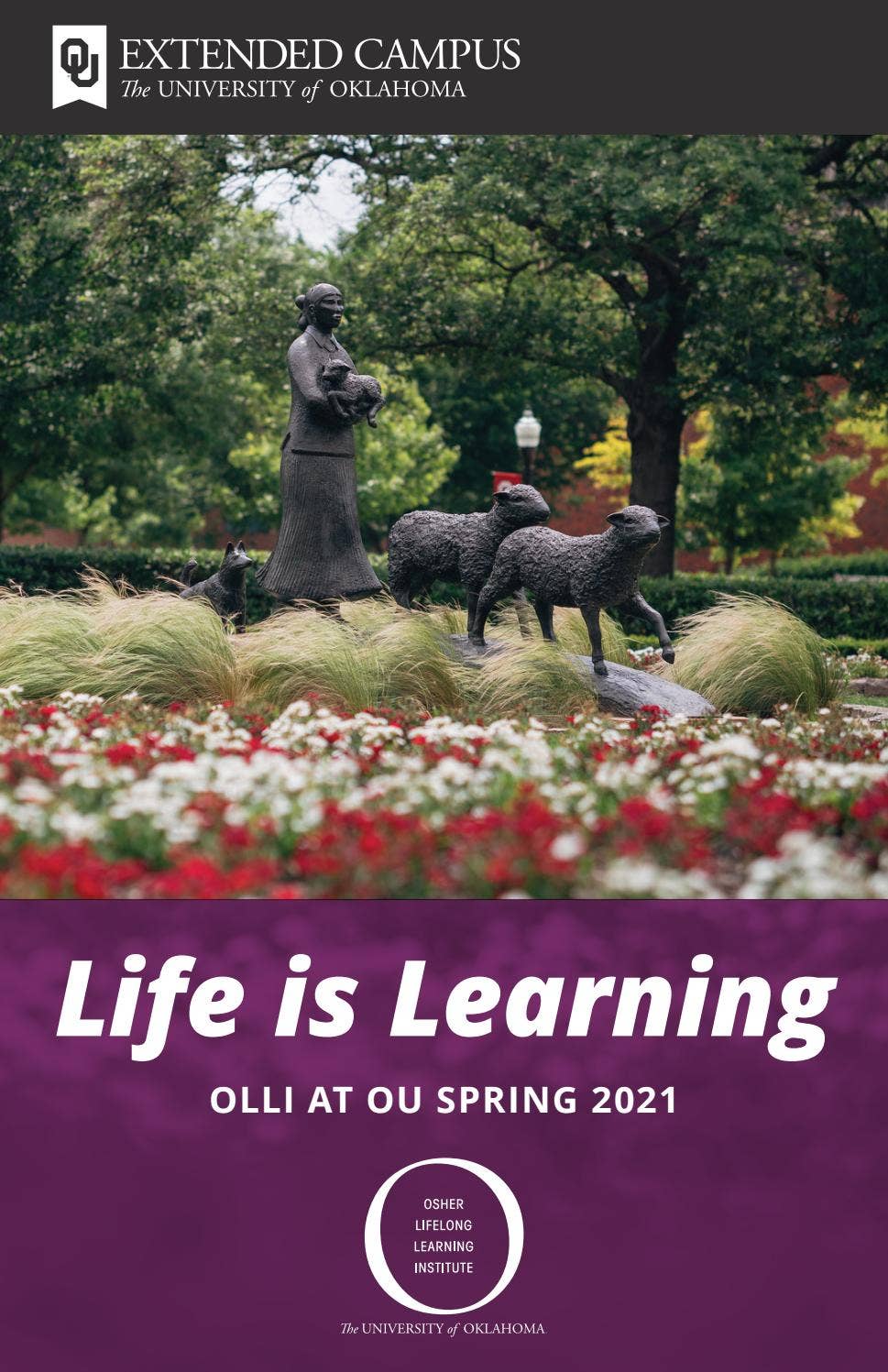 OLLI Spring 2021 Catalog by OU Online Issuu