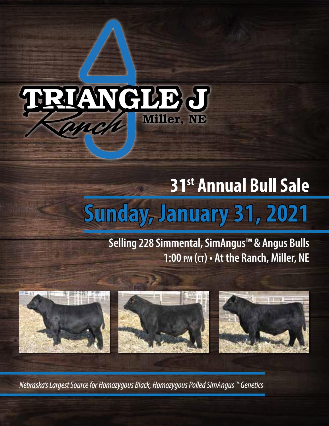 2021 Triangle J Bull Sale by Julie Murnin Issuu