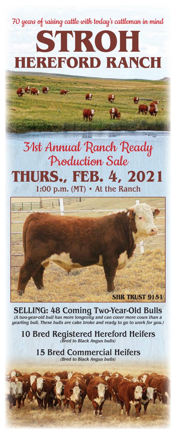 2021 Stroh Hereford Ranch by Matt Stroh Issuu