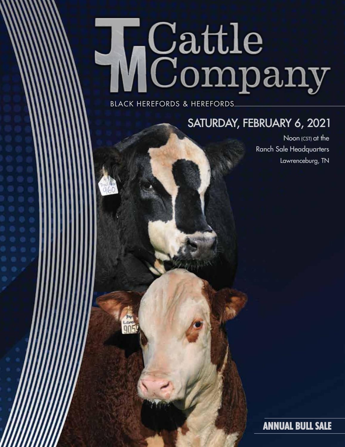 2021 JM Cattle Company Sale Catalog by Ranch House Designs Issuu