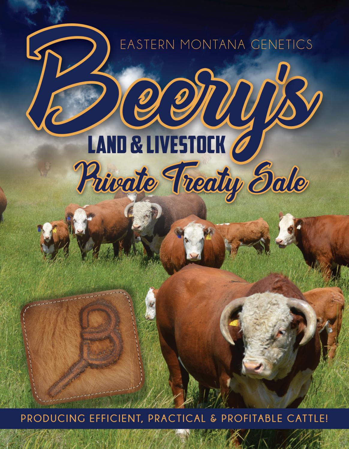 2021 Beery's Land & Livestock Private Treaty Bull Sale Catalog by