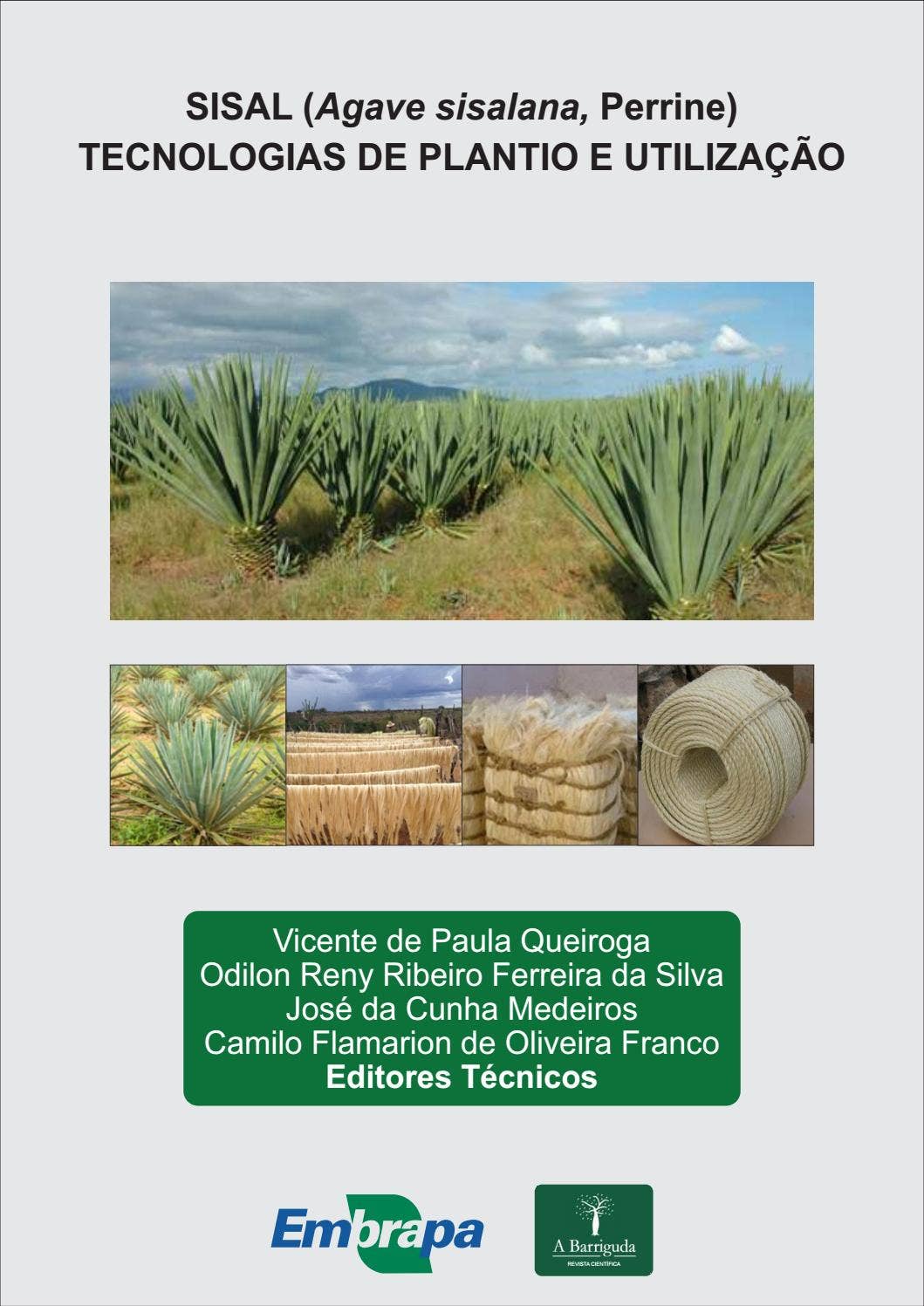 Sisal (Agave sisalana, Perrine): Tecnologias de plantio e utilizao by  abarriguda - Issuu