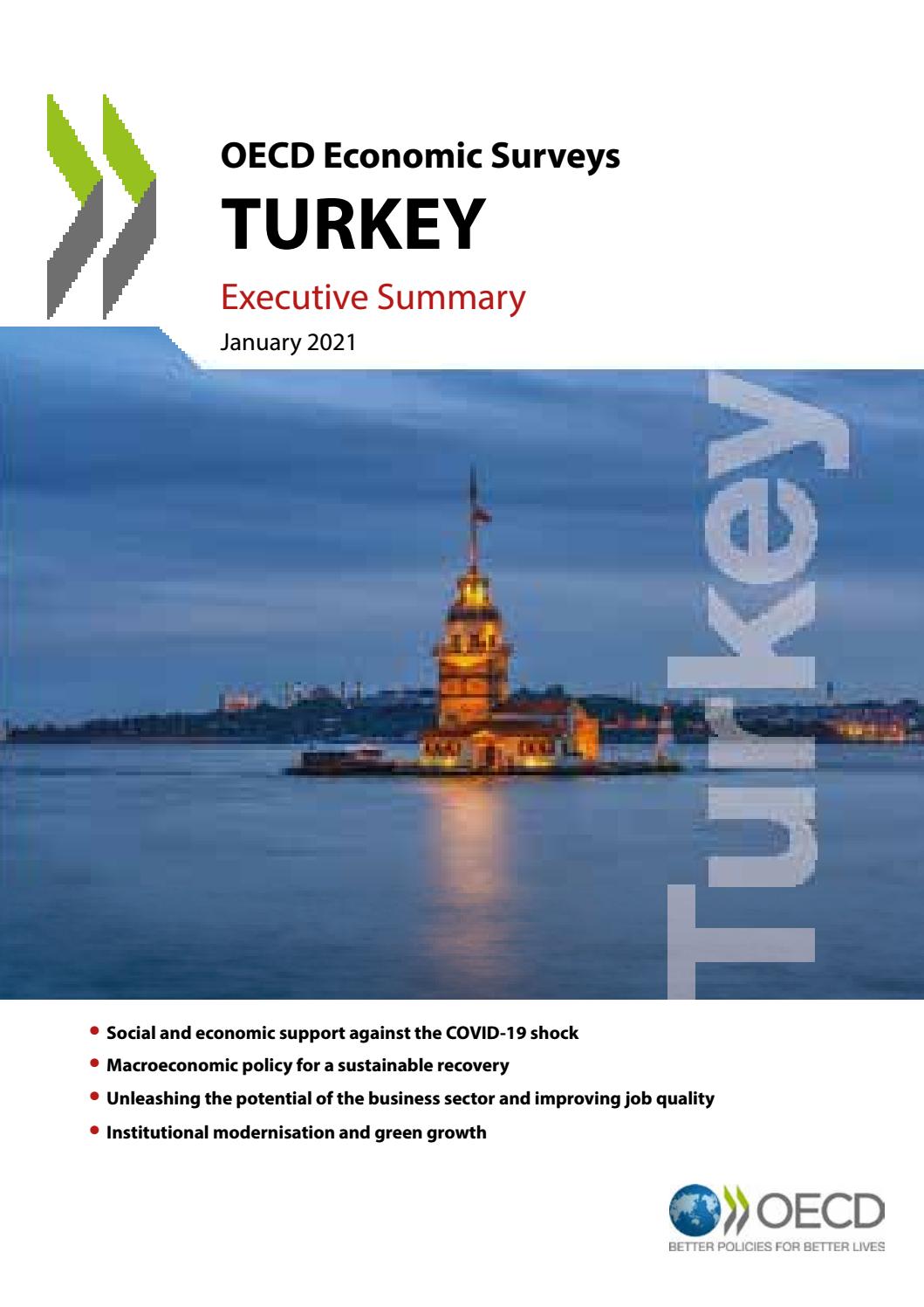 Executive Summary of the Economic Survey of Turkey 2021 by OECD Issuu