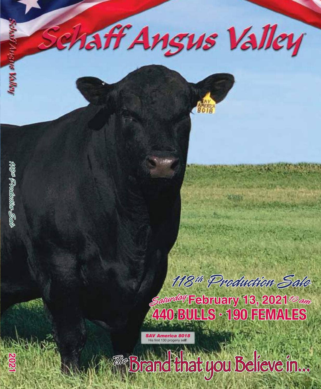 Schaff Angus Valley Sale Catalog 2021 by PeltonLivestock Issuu