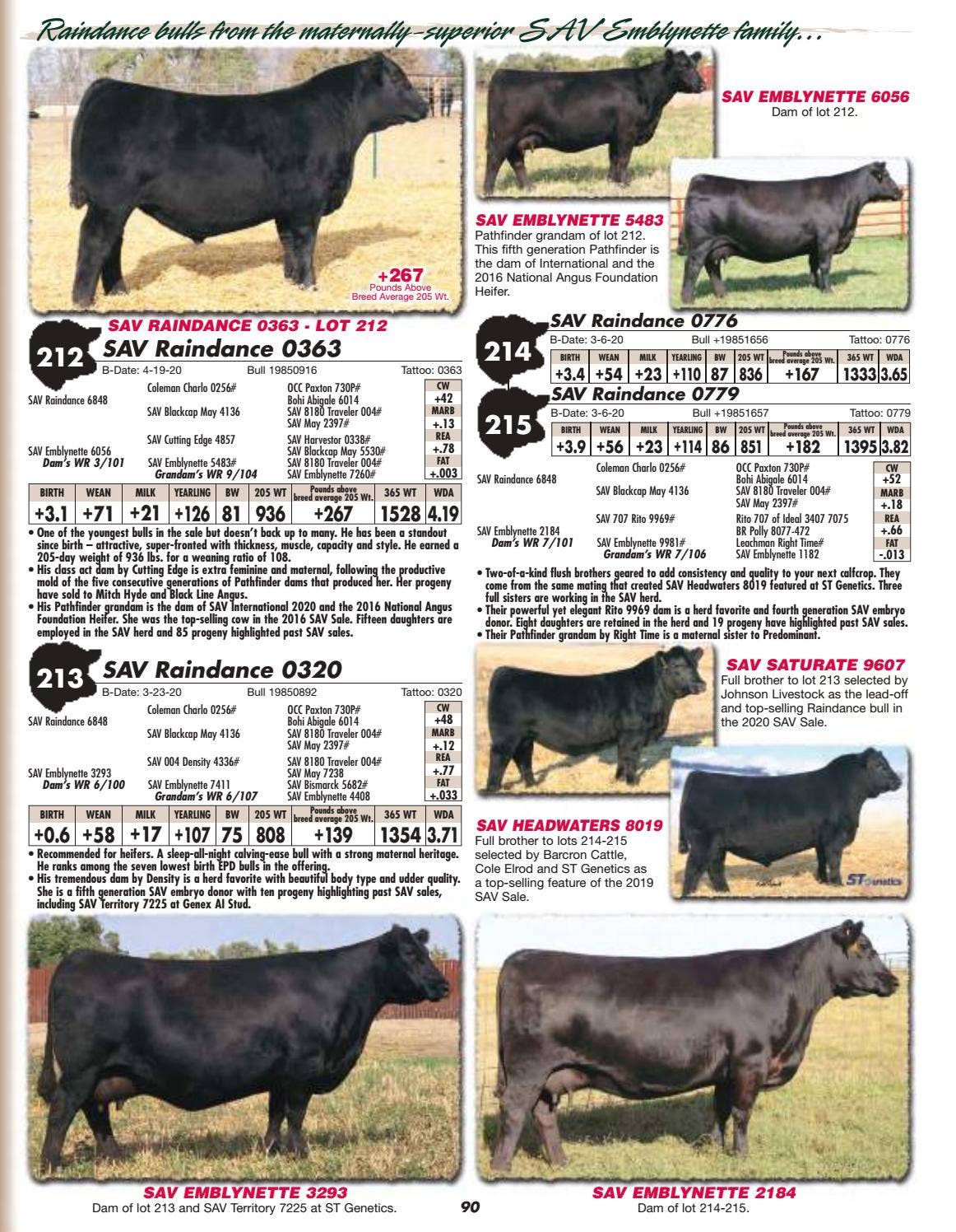 Schaff Angus Valley Sale Catalog 2021 by PeltonLivestock Issuu