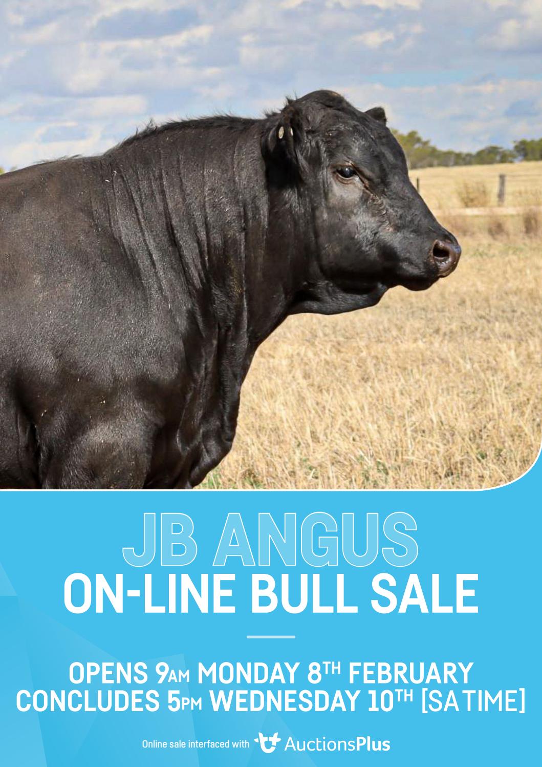 2021 JB Angus Bull Sale Catalogue by 8ptr.design Issuu