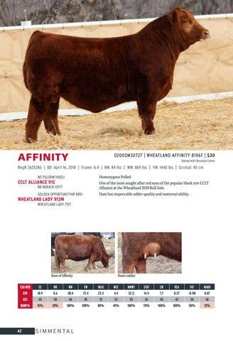 Semex Beef - 2021 Management Handbook - USA by Semex - Issuu