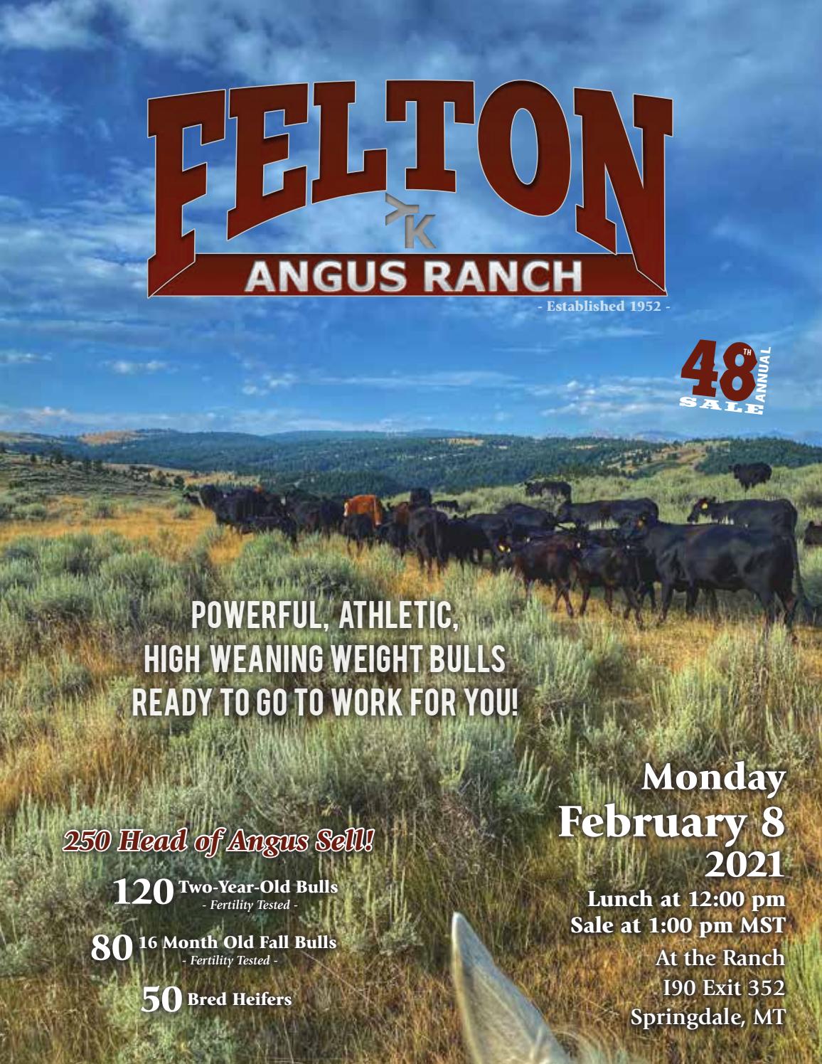 Felton Angus Ranch Sale Catalog 2021 by PeltonLivestock Issuu