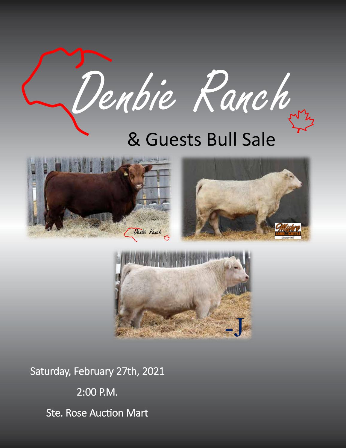 Denbie Ranch & Guests Myhre Land & Cattle Co./Bar J Charolais Bull Sale