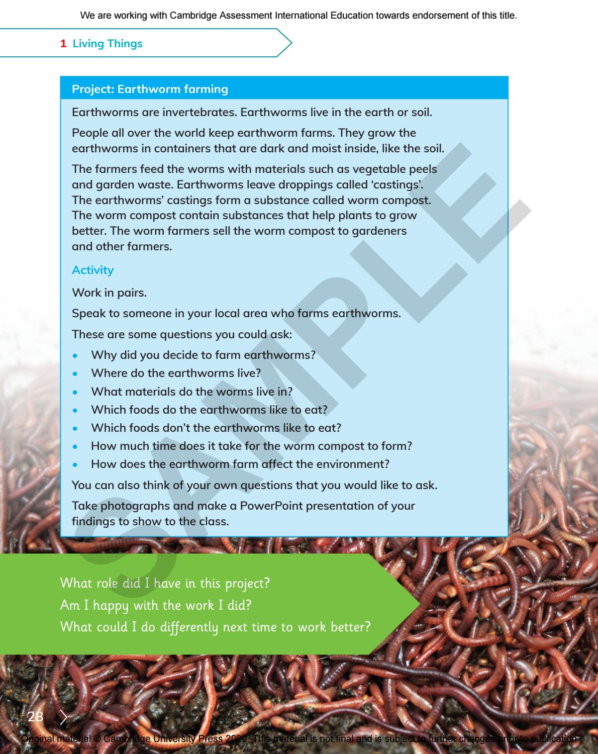 Primary Science Learner s Book 4 Sample By Cambridge University Press 