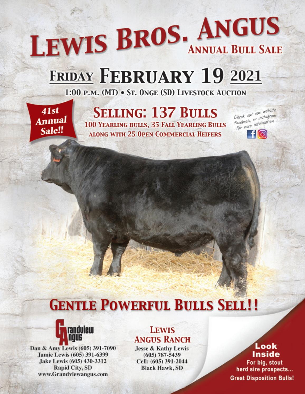 Lewis Angus 2021 Bull Sale by RPI Promotions Issuu