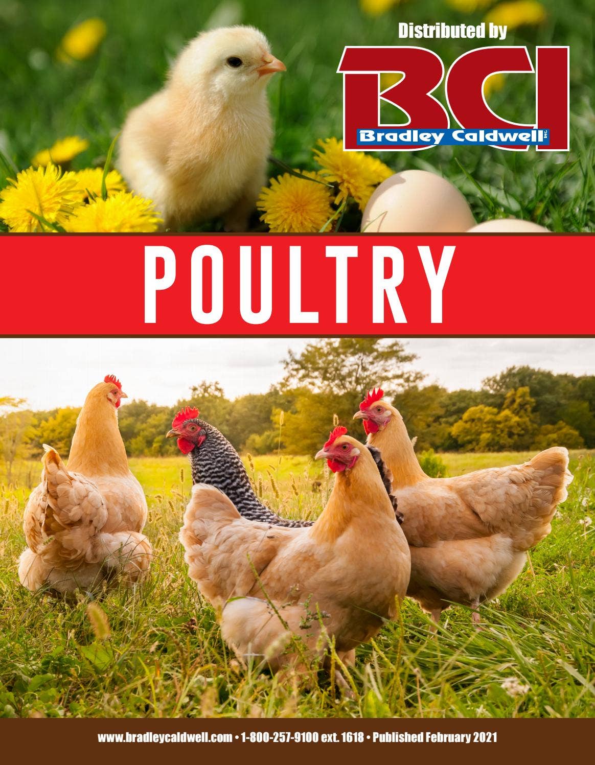 BCI Poultry Catalog by Bradley Caldwell, Inc. Issuu