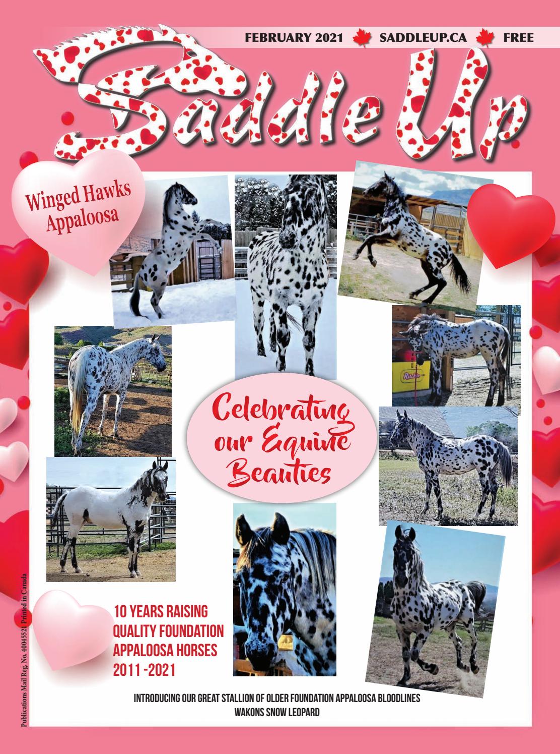 Saddle Up February 2021 By Saddle Up Magazine Issuu
