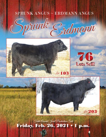 2021 Sprunk Angus & Erdmann Angus Ranch Production Sale by Stacy ...